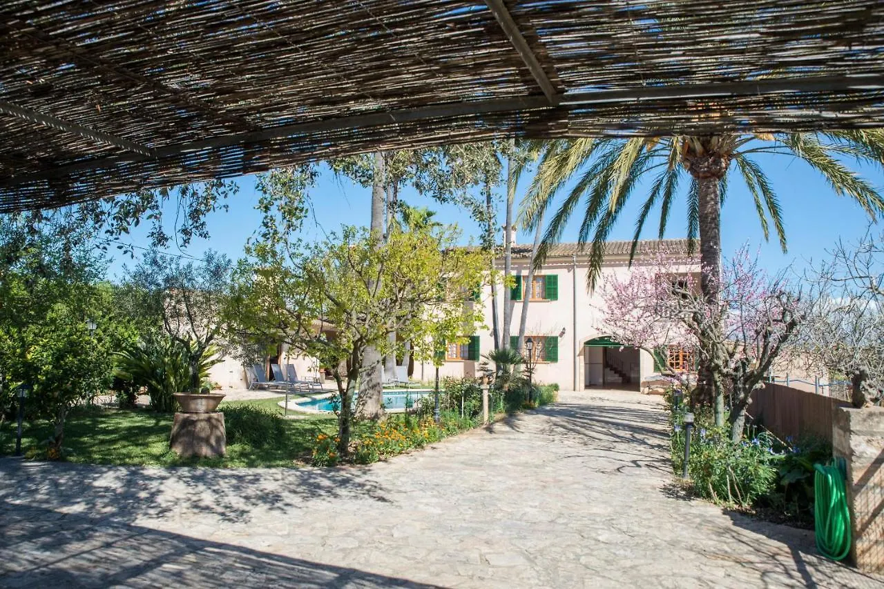 Villa Vernissa 10P. Santa Margalida Spain